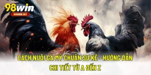 Cách Nuôi Gà Mỹ Chuẩn Sư Kê - Hướng Dẫn Chi Tiết Từ A Đến Z 3 Cách Nuôi Gà Mỹ Chuẩn Sư Kê - Hướng Dẫn Chi Tiết Từ A Đến Z