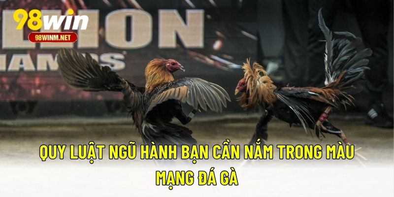 Màu Mạng Đá Gà - Bí Quyết Chọn Chiến Kê Hợp Phong Thủy 2 Quy luật ngũ hành bạn cần nắm trong màu mạng đá gà