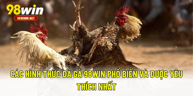 Các hình thức đá gà 98WIN phổ biến và được yêu thích nhất