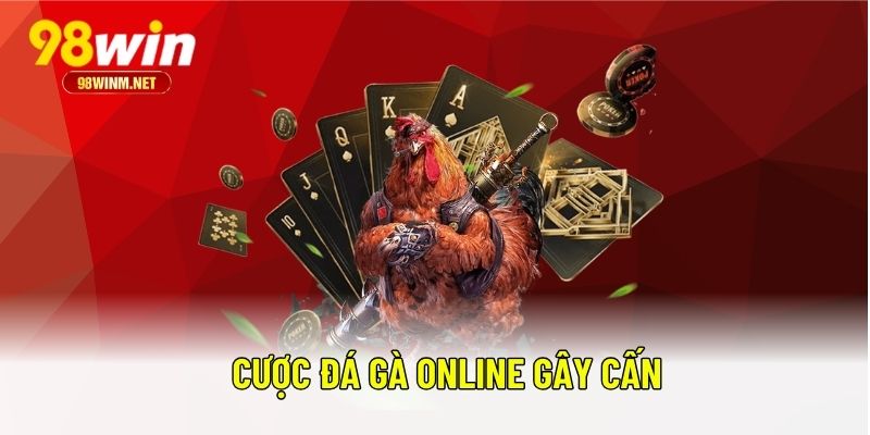 Trang Chủ 18 Cược đá gà online gây cấn